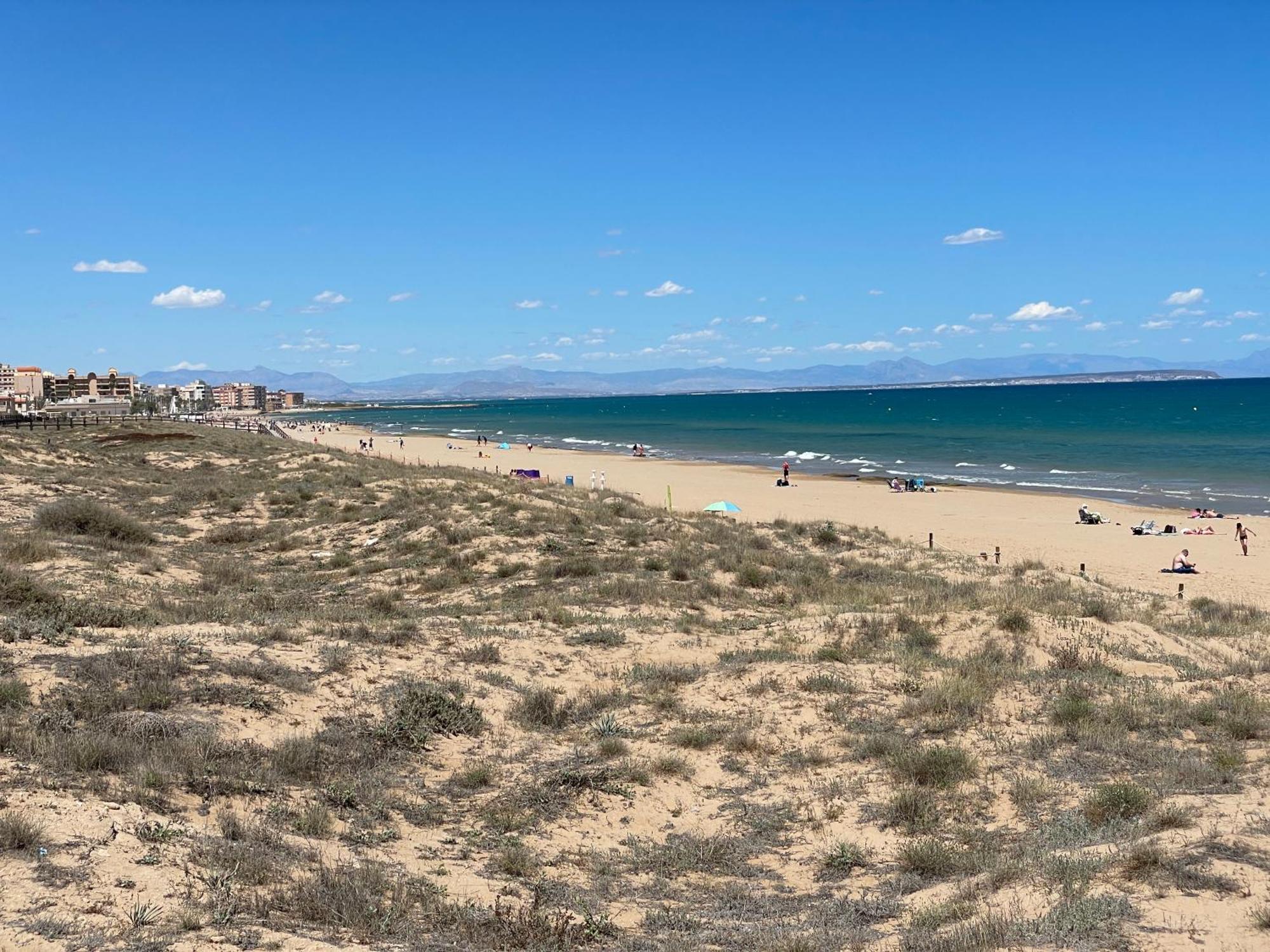 Apartamento playa La Mata y Guardamar Exterior foto